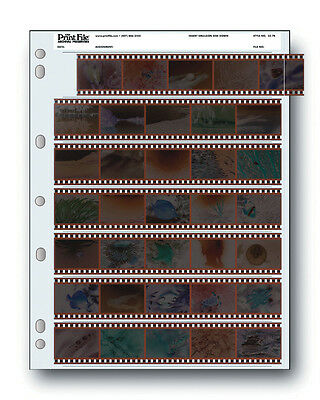 100 Pack Print File Storage Sheets 35-7b For 35mm Film Negatives 7 Strips