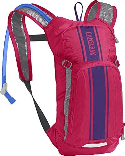 Camelbak Mini M.u.l.e. Kids' Hydration Backpack - 50 Oz Hot Pink/purple Stripe