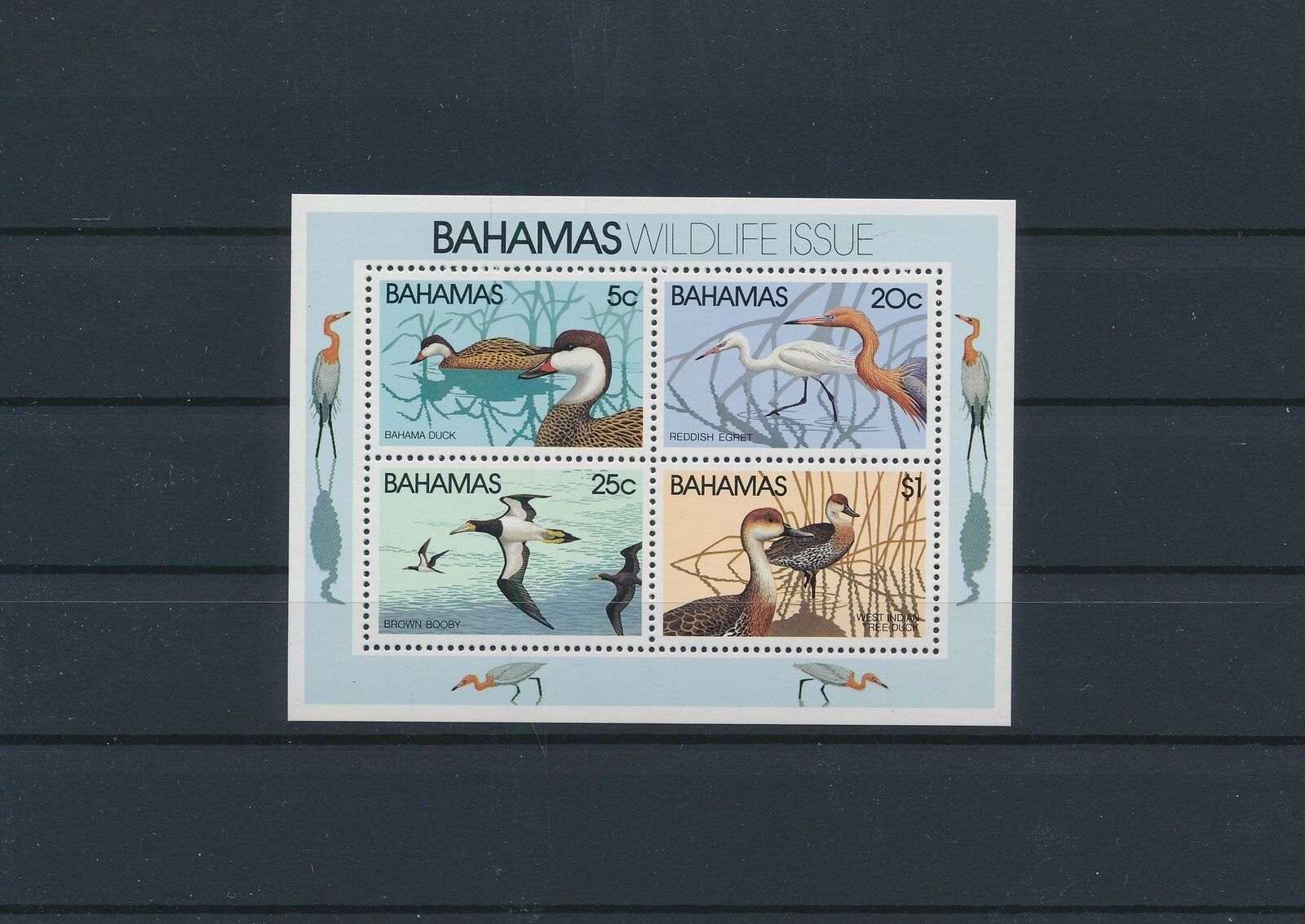 Lo44699 Bahamas Ducks Animals Birds Good Sheet Mnh