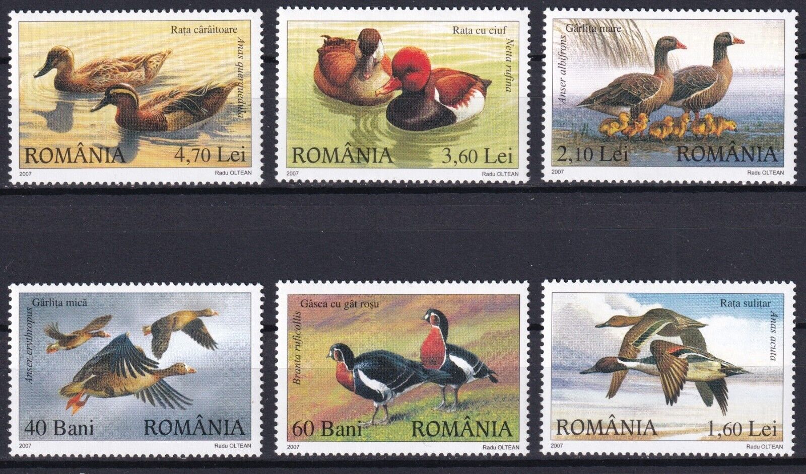 Romania 2007 Birds, Ducks 6 MNH stamps