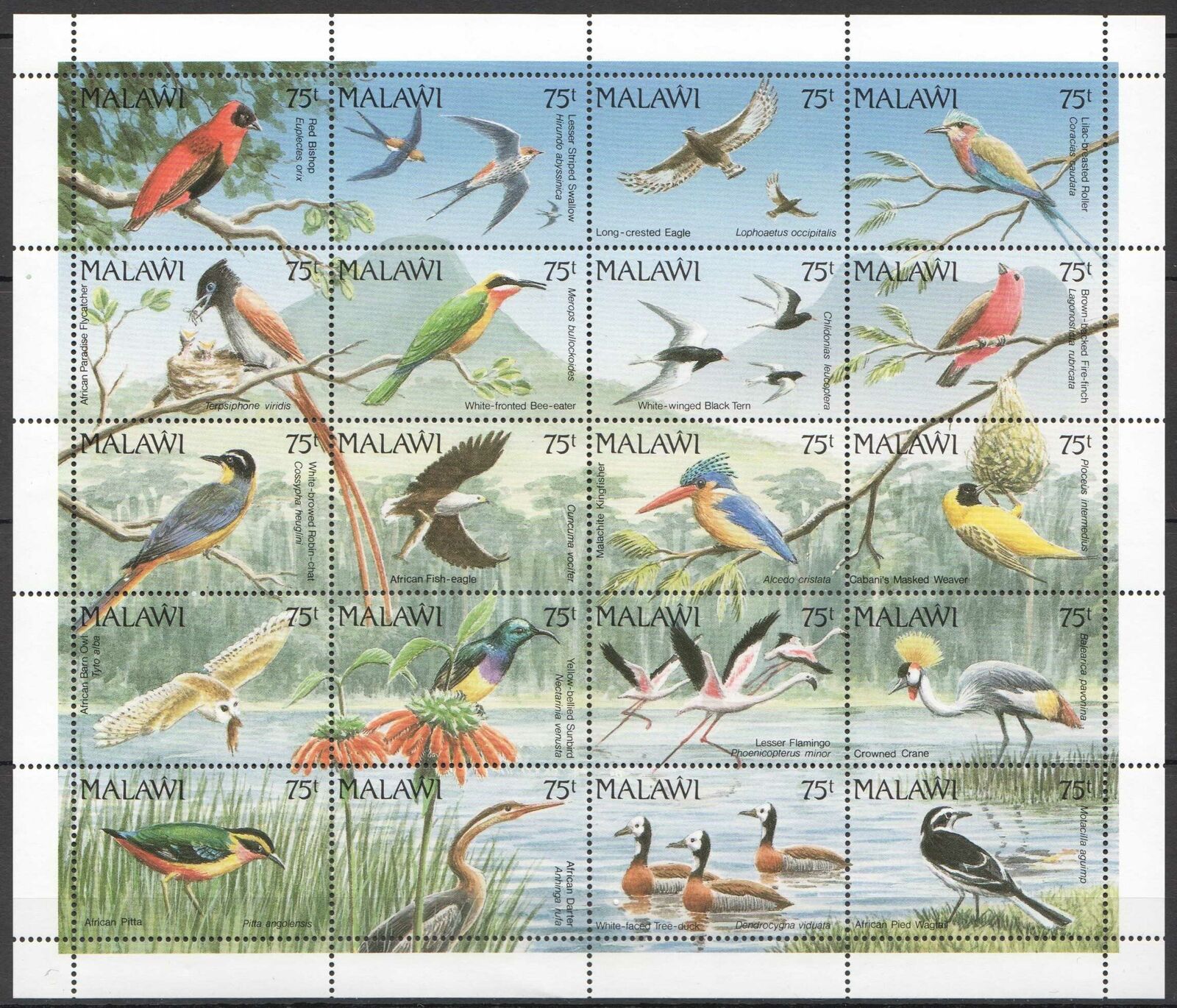 Pk Malawi Fauna Birds !!! Michel 50 Euro 1 Big Sh Mnh
